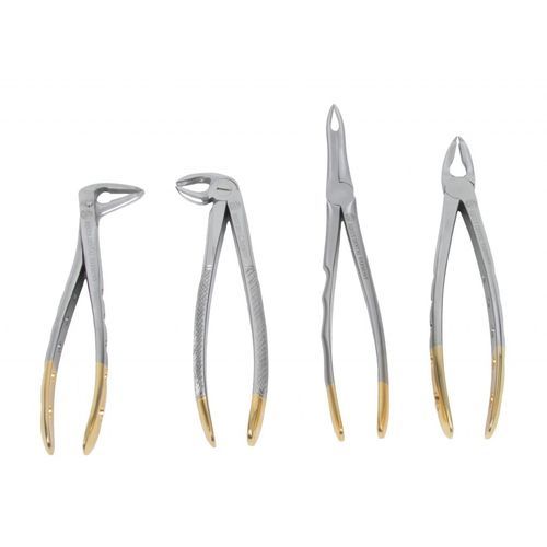 Pinza veterinaria - DAV-LDL04 - Equus Dental - per estrazione dentale / dritta / in acciaio inossidabile