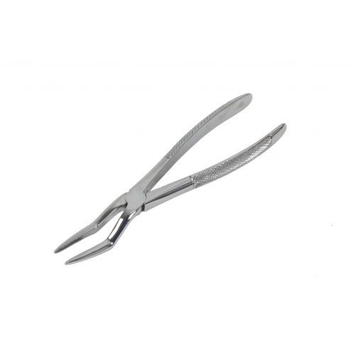 Pinza odontoveterinaria - DAV-DCDL8 - Equus Dental - per estrazione dentale / curva / in acciaio inossidabile