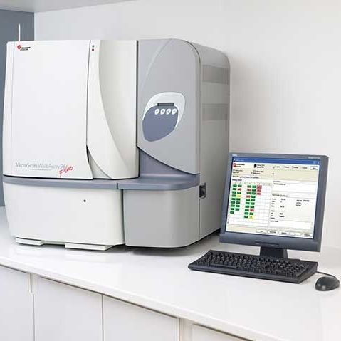 Analizzatore automatico di microbiologia - MicroScan - Beckman Coulter