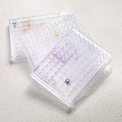 Kit di test per malattie infettive - B10 series - Beckman Coulter - per analisi di identificazione / batteriologico / per lievito