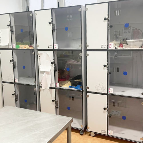 Gabbia veterinaria per gatti - POPA Suites - Everest Tecnovet - 2 scomparti / 3 scomparti / con rotelle