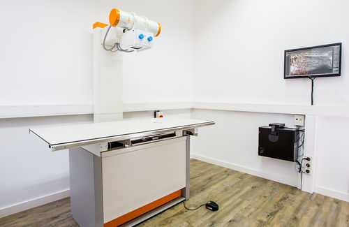 Sistema di radiografia veterinaria digitale - Amadeo V - OR Technology - Oehm und Rehbein - analogico