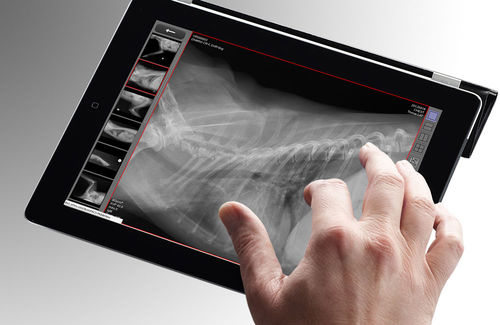 Applicazione web diagnostica - dicomPACS® vet MobileView - OR Technology - Oehm und Rehbein - medica / per imaging veterinario / basata sul web