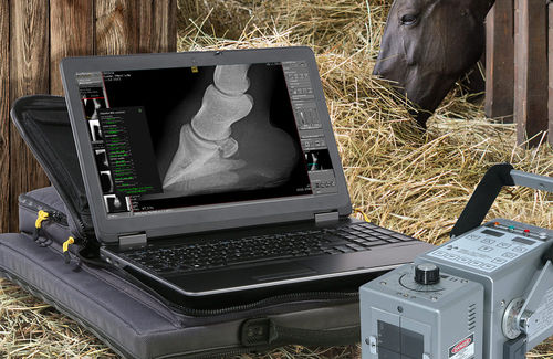 Modulo software di analisi - dicomPACS® vet - OR Technology - Oehm und Rehbein - per radiologia / veterinario