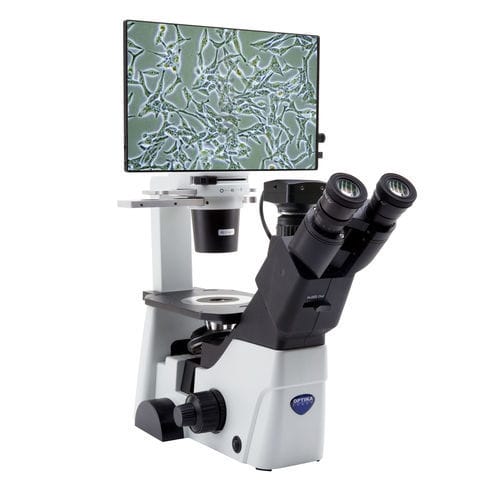 Microscopio ottico - IM-300D - Optika Italy - digitale / da laboratorio / invertito