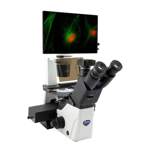 Microscopio ottico - IM-300LD4D - Optika Italy - digitale / da laboratorio / da ricerca