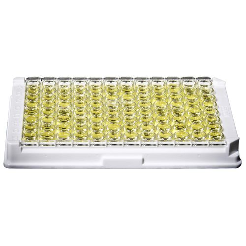 Kit di test del lupus - 720-240 - Gold Standard Diagnostics - per anticorpi / ELISA