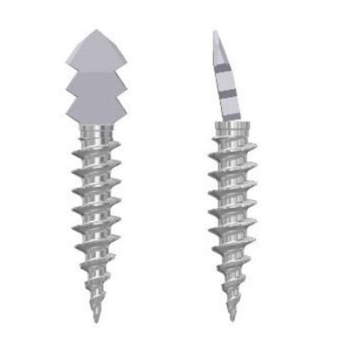 Vite per artrodesi per articolazione interfalangea del piede - Health-Joy Medical - per avampiede / senza testa / in metallo