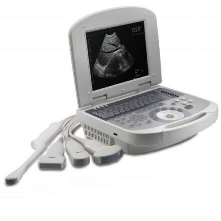 Ecografo portatile - Dolphi pro    - Meditech Equipment - per ecografia multidisciplinare / in bianco e nero / con console integrata