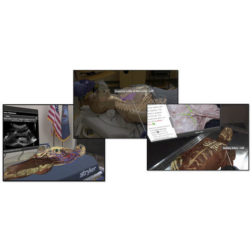 Modulo di simulazione didattico - VH Dissector - Touch of Life Technologies (ToLTech) - di anatomia / per chirurgia / in realtà aumentata