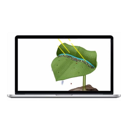 Software medico - Visible Biology - Visible Body - di visualizzazione 3D / didattico / di simulazione 3D