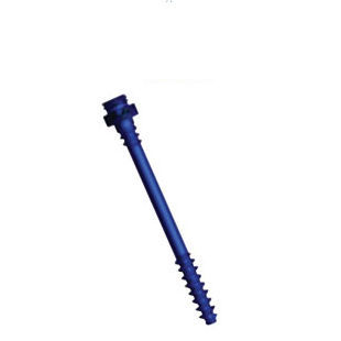 Vite per compressione ossea toraco-lombare - Facet - Precision Spine - canalare / in titanio
