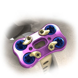 Placca per artrodesi toracica - AccuFit®  - Precision Spine - laterale / anterolaterale / bloccata
