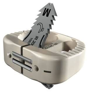 Gabbia intersomatica lombare - ROI-A®  - LDR Medical - via anteriore / in PEEK