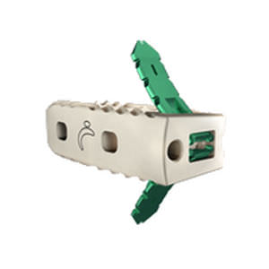 Gabbia intersomatica lombare - Avenue® L - LDR Medical - via laterale