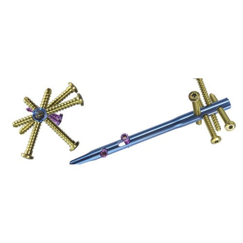 Chiodo intramidollare per omero - AEQUALIS™ IM - Wright Medical Technology - fissazione prossimale