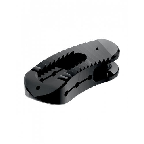 Gabbia intersomatica lombare - JULIET® TL - Spineart - via transforaminale