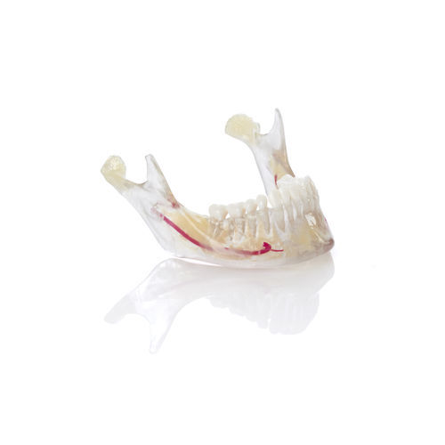 Materiale odontoiatrico in resina - VeroDent PureWhite DEN847™ - Stratasys - ortodontico / per stampa 3D / di modelizzazione