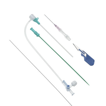 Guaina di accesso radiale - DXQ series - Demax Medical Technology - femorale / idrofila