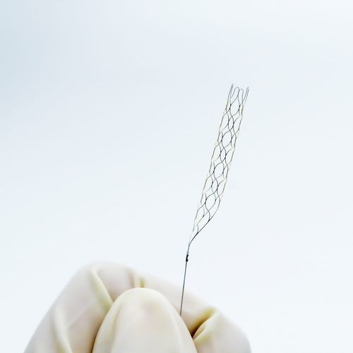 Stent intracranico - pRELAX - Phenox - in metallo