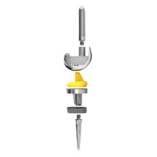Protesi di ginocchio tricompartimentale - EXPRT™ - Trilliant Surgical - di revisione / a piatto mobile / cementata