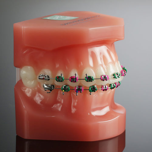 Elastico ortodontico per legature - Bambino–Ties™, Versa–Ties™, Select–Ties™, Mini–Ties™ - G&H Orthodontics