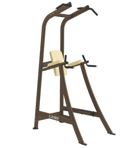 Sedia romana con barra per trazioni - Free Weights - Cybex