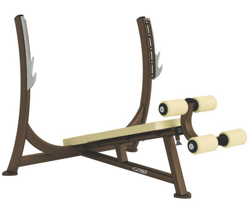 Panca per esercizi muscolari invertita - Free Weights - Cybex - con rastrelliera per bilancieri