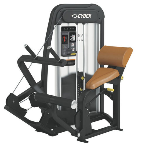 Stazione per esercizi muscolari estensione del dorso - Eagle NX - Cybex