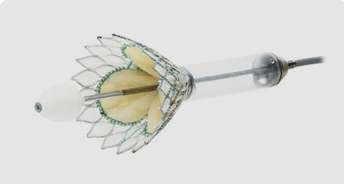 Bioprotesi valvolare mitrale - Cardiovalve - Valtech - senza suture