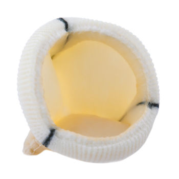 Bioprotesi valvolare aortica - Dokimos® Plus - Labcor - in tessuto bovino