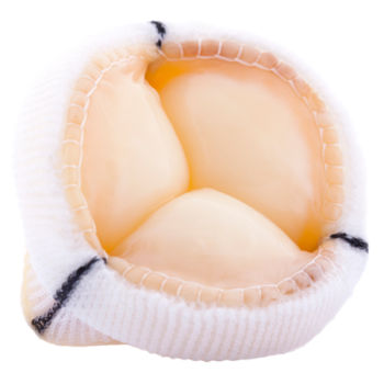 Bioprotesi valvolare aortica - TLPB - Labcor - in tessuto porcino
