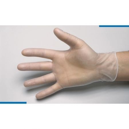 Guanto in vinile - GANTVINYL - Elcya - medico / non sterile / ipoallergenico