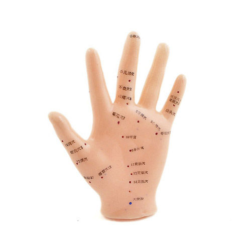 Modello anatomico di mano - H130484 - HeineScientific® - di agopuntura / ad uso didattico / in plastica