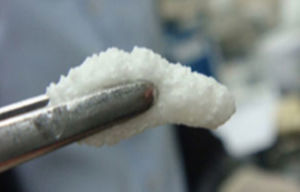Materiale odontoiatrico in composito - OSTEON™ Collagen - Genoss - per ricostruzione dentale