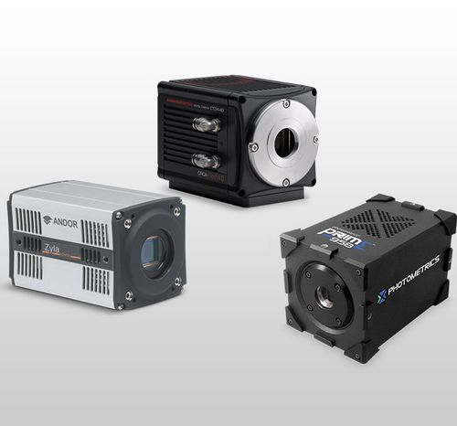 Fotocamera per microscopio - sCMOS - Evident - Olympus Scientific Solutions - digitale / CMOS / sCMOS