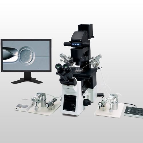 Microscopio ottico - IX3-ICSI/IMSI  - Evident - Olympus Scientific Solutions - da laboratorio / invertito / con obiettivo piano