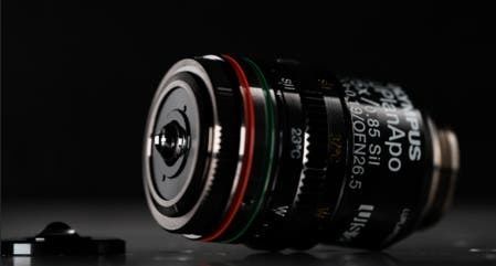 Obiettivo per microscopio per scienze della vita - LUPLAPO25XS - Evident - Olympus Scientific Solutions - da laboratorio