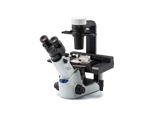 Sistema di imaging cellulare per coltura cellulare - CKX53 - Evident - Olympus Scientific Solutions - per coltura di tessuti / per preparazione di campioni / da laboratorio