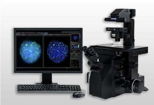 Sistema di gestione e analisi per reportistica - cellSens - Evident - Olympus Scientific Solutions - con intelligenza artificiale / video / di visualizzazione