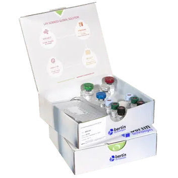 Kit di test da ricerca - Bertin Technologies - per chimica clinica / per biomarcatore / enzimatico