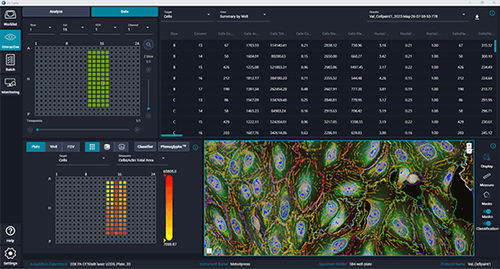 Software medico - IN Carta®  - Molecular Devices - di analisi / di analisi delle immagini / di rilevamento