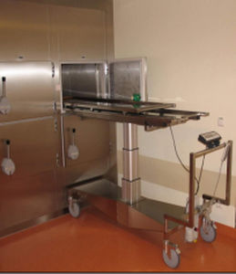Cella mortuaria per barelle mortuarie - MA-1100 - MEDIS Medical Technology - 2 salme / a carico frontale / a doppia porta