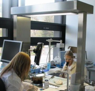 Workstation da laboratorio per macroscopia - MA-0087 - MEDIS Medical Technology - mobile / con ventilazione discendente