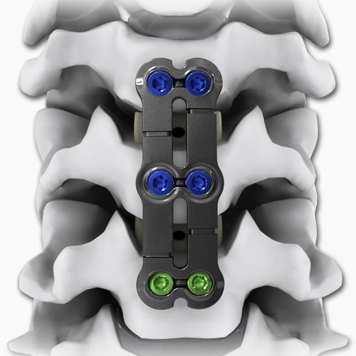 Placca per artrodesi cervicale - KINETIC®-SL - Life Spine - bloccata / in metallo / 2 livelli