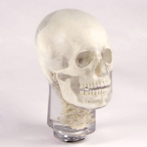 Phantom di calibrazione per radiografia - 12702 - QUART X-Ray QA Solutions - di testa