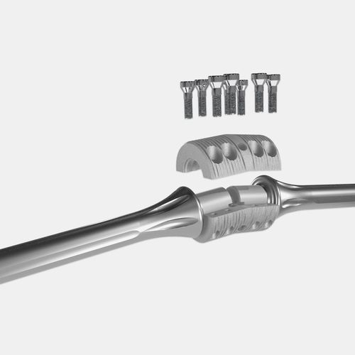 Chiodo intramidollare per femore - OsteoBridge™ - Merete - per tibia / in titanio