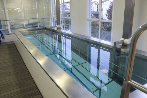 Piattaforma elevatrice per sedia a rotelle - Tonic - FRANCE REVAL - per piscina