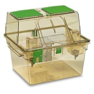 Gabbia per sperimentazione animale ventilata - GR1800 - Tecniplast - per roditori / modulare / due ponti