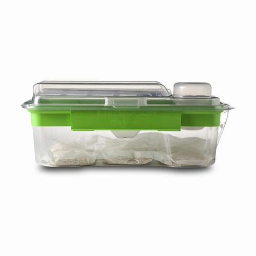 Gabbia per sperimentazione animale monouso - SUMC - Tecniplast - per roditori / modulare